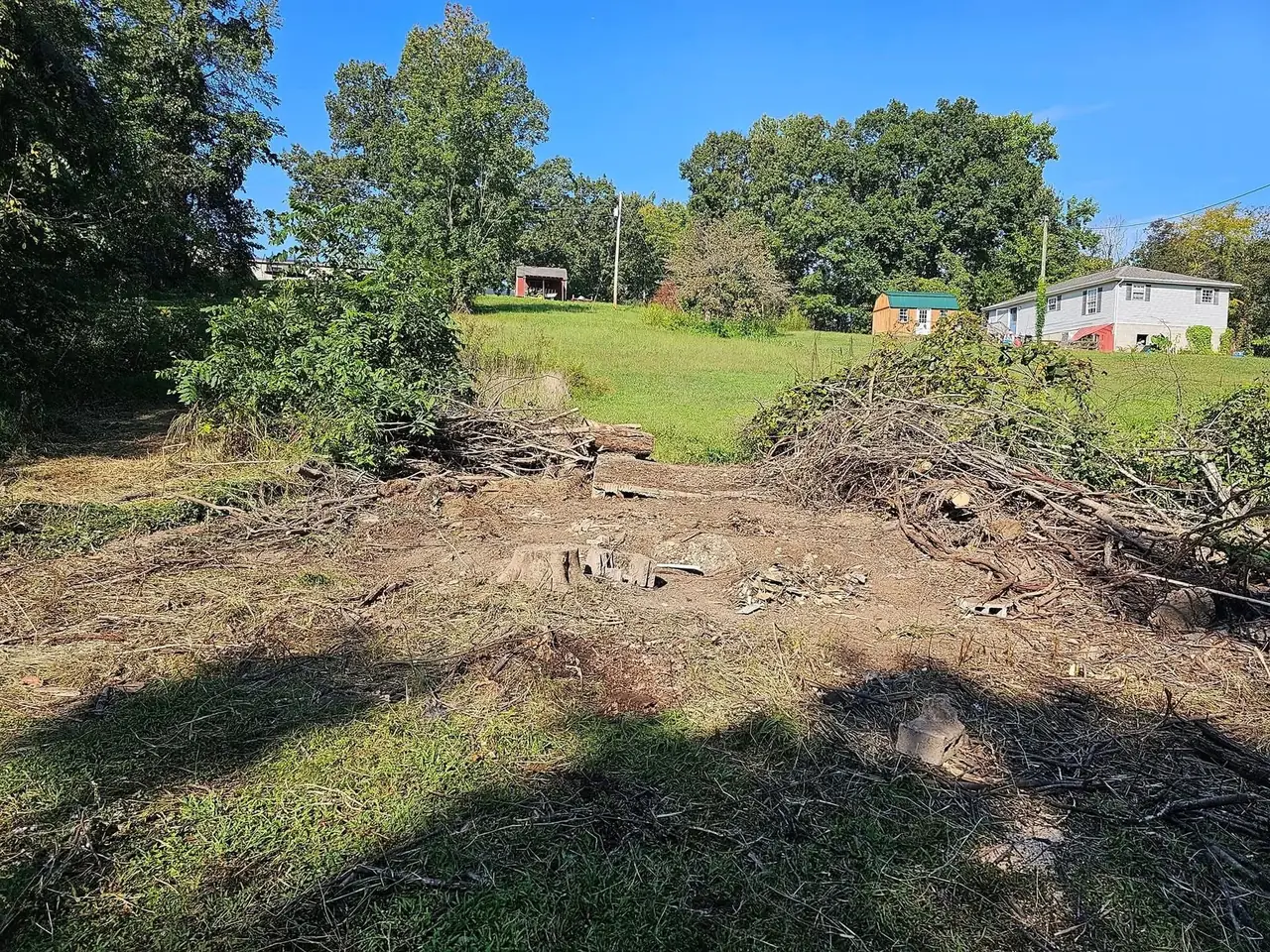 A Henderson County lot part way through clearing, with cut stumps and remaining debris in the foreground and open grass beyond