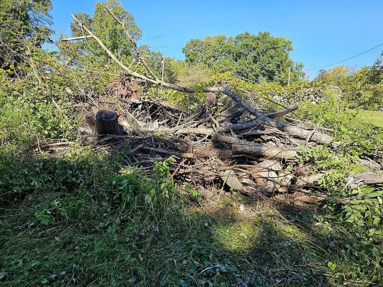 A large pile of cut tree limbs and brush on a Henderson County property waiting to be hauled